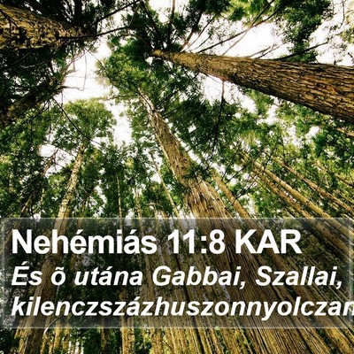 Nehémiás 11:8 KAR Bible Verse Image