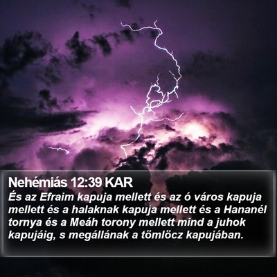 Nehémiás 12:39 KAR Bible Verse Image