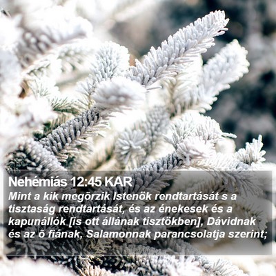 Nehémiás 12:45 KAR Bible Verse Image