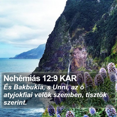 Nehémiás 12:9 KAR Bible Verse Image