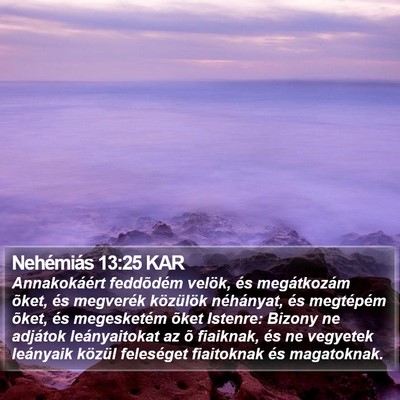 Nehémiás 13:25 KAR Bible Verse Image