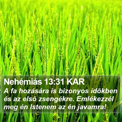 Nehémiás 13:31 KAR Bible Verse Image