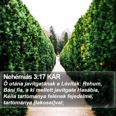 Nehémiás 3:17 KAR Bible Verse Image