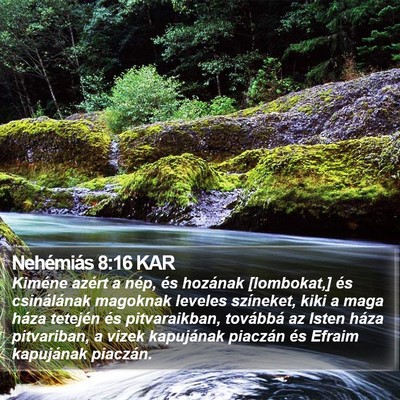 Nehémiás 8:16 KAR Bible Verse Image