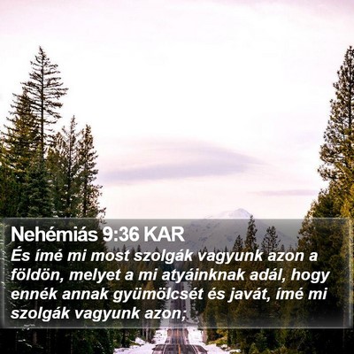 Nehémiás 9:36 KAR Bible Verse Image