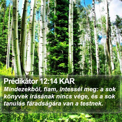 Prédikátor 12:14 KAR Bible Verse Image