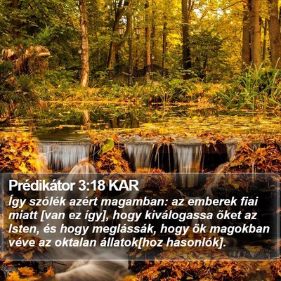 Prédikátor 3:18 KAR Bible Verse Image