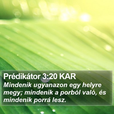 Prédikátor 3:20 KAR Bible Verse Image