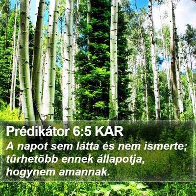 Prédikátor 6:5 KAR Bible Verse Image