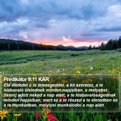 Prédikátor 9:11 KAR Bible Verse Image
