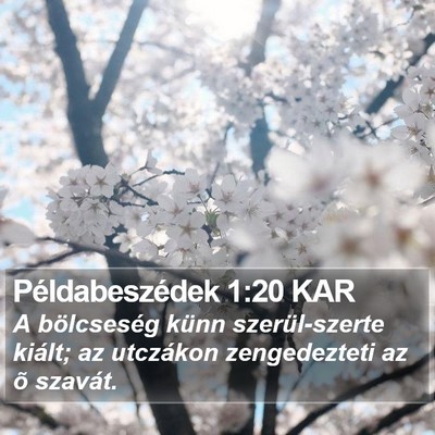 Példabeszédek 1:20 KAR Bible Verse Image