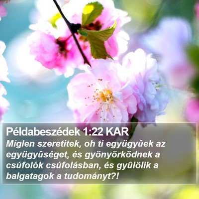 Példabeszédek 1:22 KAR Bible Verse Image