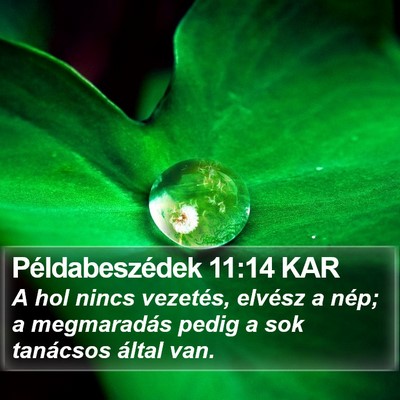 Példabeszédek 11:14 KAR Bible Verse Image