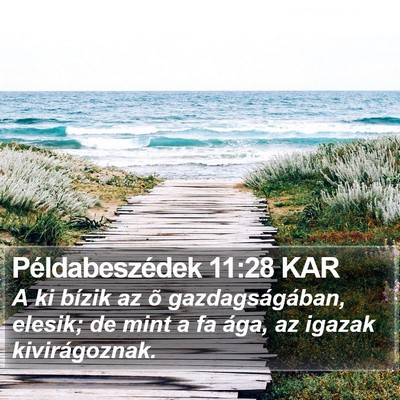 Példabeszédek 11:28 KAR Bible Verse Image