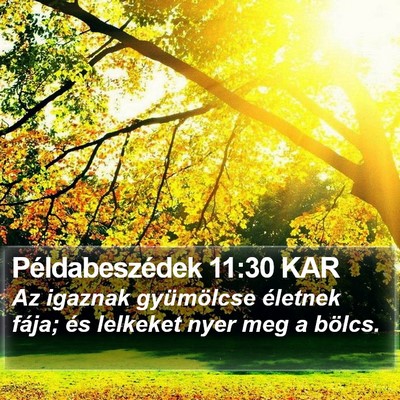 Példabeszédek 11:30 KAR Bible Verse Image