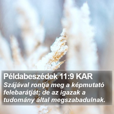 Példabeszédek 11:9 KAR Bible Verse Image