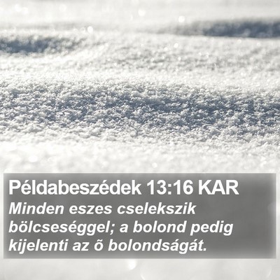 Példabeszédek 13:16 KAR Bible Verse Image