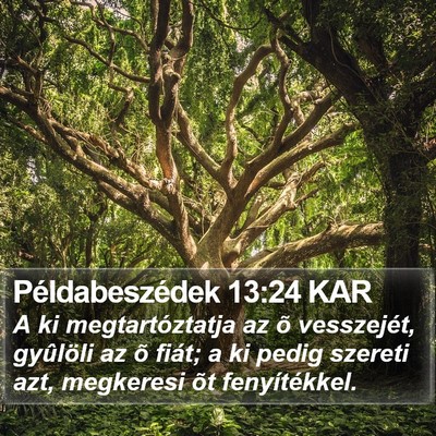Példabeszédek 13:24 KAR Bible Verse Image