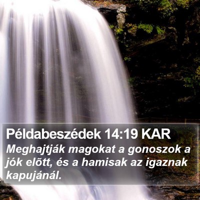 Példabeszédek 14:19 KAR Bible Verse Image
