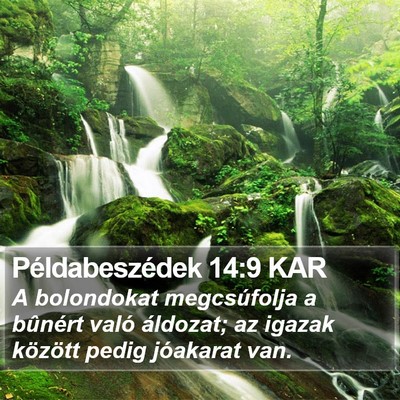 Példabeszédek 14:9 KAR Bible Verse Image