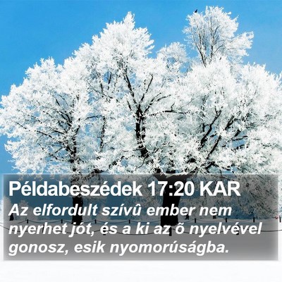 Példabeszédek 17:20 KAR Bible Verse Image