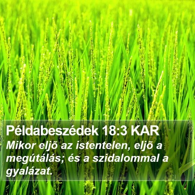 Példabeszédek 18:3 KAR Bible Verse Image