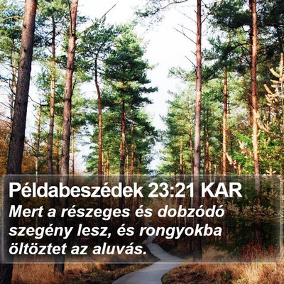 Példabeszédek 23:21 KAR Bible Verse Image