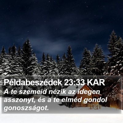Példabeszédek 23:33 KAR Bible Verse Image