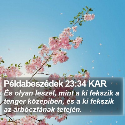 Példabeszédek 23:34 KAR Bible Verse Image