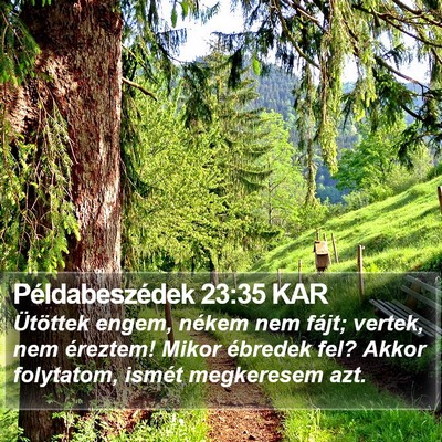 Példabeszédek 23:35 KAR Bible Verse Image