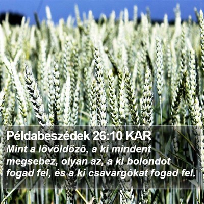 Példabeszédek 26:10 KAR Bible Verse Image