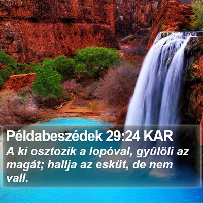 Példabeszédek 29:24 KAR Bible Verse Image