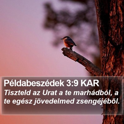 Példabeszédek 3:9 KAR Bible Verse Image