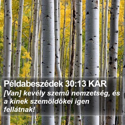 Példabeszédek 30:13 KAR Bible Verse Image
