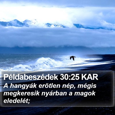 Példabeszédek 30:25 KAR Bible Verse Image