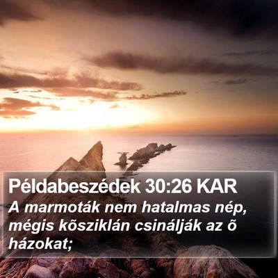 Példabeszédek 30:26 KAR Bible Verse Image