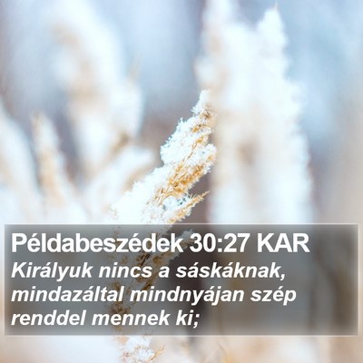 Példabeszédek 30:27 KAR Bible Verse Image
