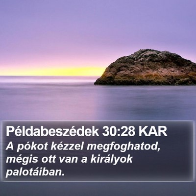 Példabeszédek 30:28 KAR Bible Verse Image
