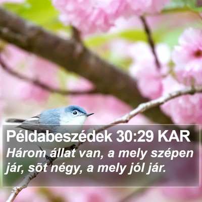 Példabeszédek 30:29 KAR Bible Verse Image