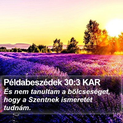 Példabeszédek 30:3 KAR Bible Verse Image