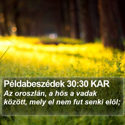 Példabeszédek 30:30 KAR Bible Verse Image