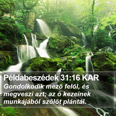Példabeszédek 31:16 KAR Bible Verse Image