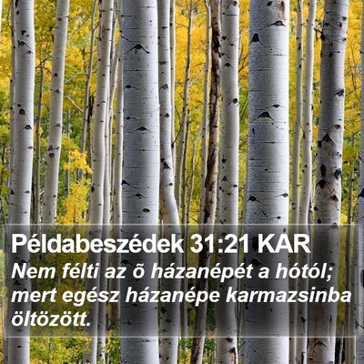 Példabeszédek 31:21 KAR Bible Verse Image