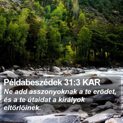 Példabeszédek 31:3 KAR Bible Verse Image