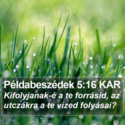 Példabeszédek 5:16 KAR Bible Verse Image
