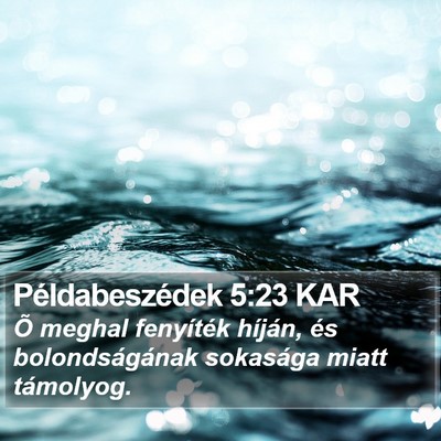 Példabeszédek 5:23 KAR Bible Verse Image