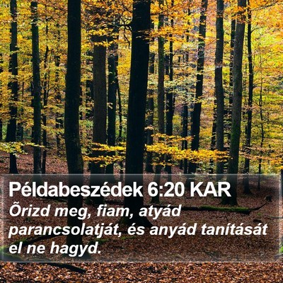 Példabeszédek 6:20 KAR Bible Verse Image