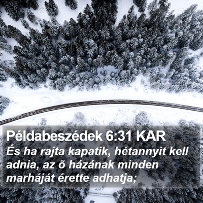 Példabeszédek 6:31 KAR Bible Verse Image