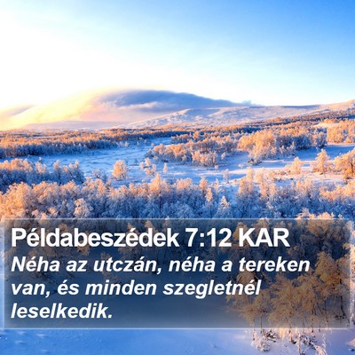 Példabeszédek 7:12 KAR Bible Verse Image