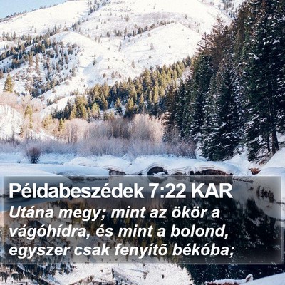 Példabeszédek 7:22 KAR Bible Verse Image
